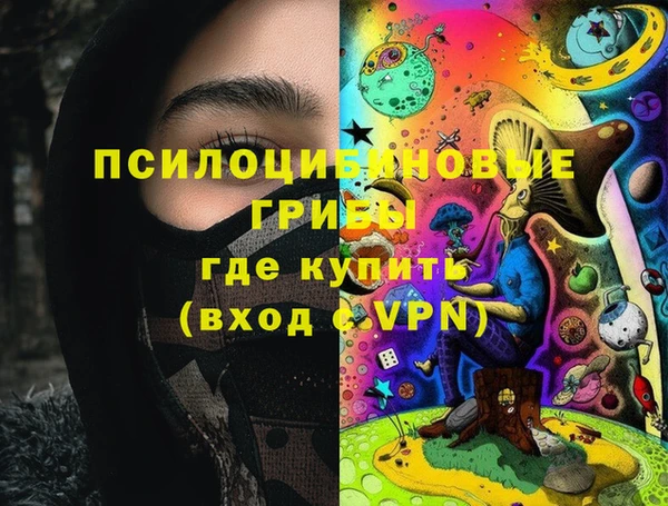 ПСИЛОЦИБИНОВЫЕ ГРИБЫ Баксан