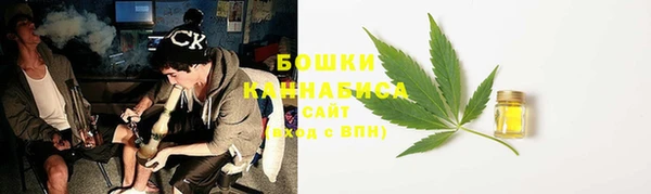 ПСИЛОЦИБИНОВЫЕ ГРИБЫ Баксан