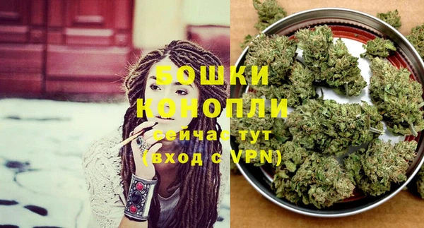 ПСИЛОЦИБИНОВЫЕ ГРИБЫ Баксан