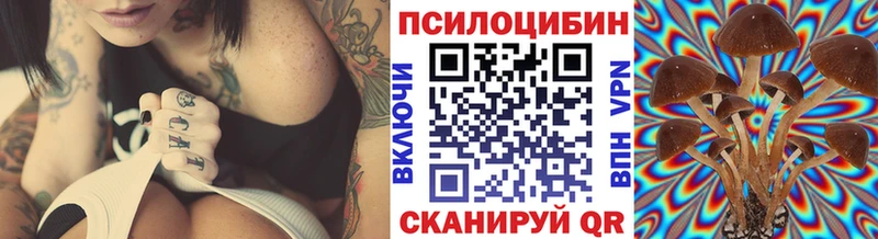Псилоцибиновые грибы Magic Shrooms  продажа наркотиков  kraken онион  Коряжма 